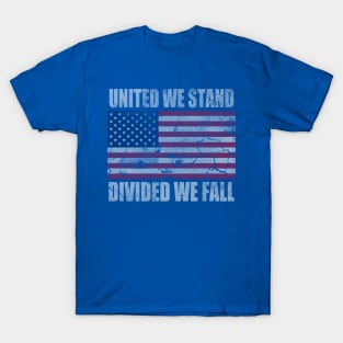America United We Stand Divided We Fall T-Shirt